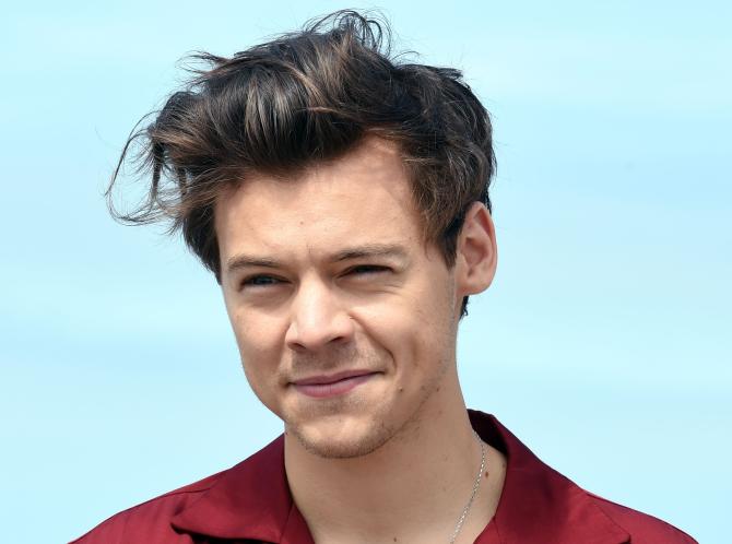 Harry Styles Jokes