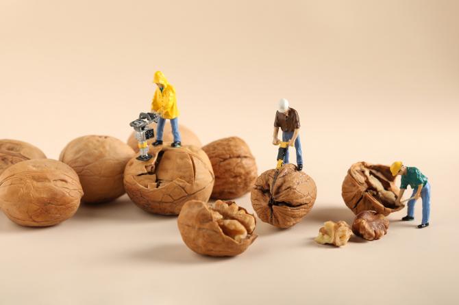 Nut Jokes