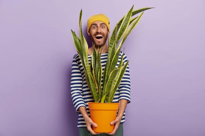 Plant Jokes