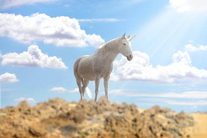 Unicorn Jokes